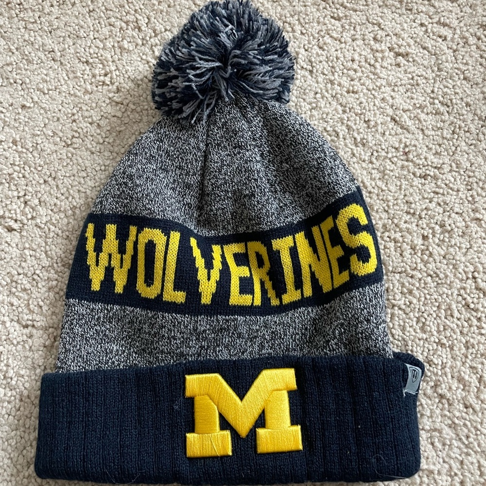 Michigan Winter Hat